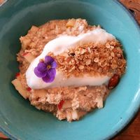 Apple porridge with almond milk and cinnamon at Lina's Coffee in Dusseldorf