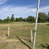   at Mühle in Ahrenshoop