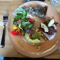 Quiche, salad and tacos as main dish at Kurkuma in Hamburg