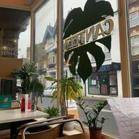 Seating inside the cafe   at Monstera Canteen in Luton