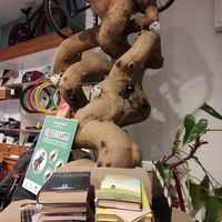 Decor at Ciclo Caffè Le Ruote in Bologna