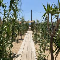  Path from restaurant to beach  at The Beach Bar Project  in Thasos