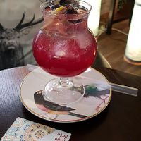 Vegan: Hallabong Omija Ade (할라봉오미자에이드) at Eldyn 카페 엘딘 in Gyeonggi-do