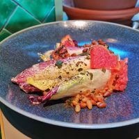 Chicory salad: muso sauce, grilled grapefruit, pickled pine nuts (vegan, gluten free 8€) at Ülo in Tallinn