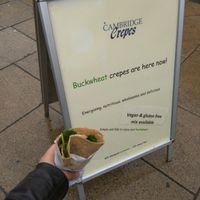 Spinach and Mushrooms on Vegan Buckwheat Crepe at Cambridge Crepes in Cambridge
