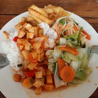 Mix of Tofu curry on rice, veg stir fry, chilli papaya salad & french fries. 😋 at Samui Elephant Sanctuary in Koh Samui