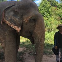 happy to see happy elephants  at Samui Elephant Sanctuary in Koh Samui