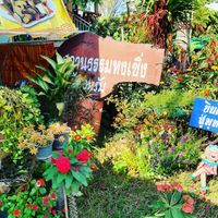 Nice gardening front  at Satanatam Hongcherng in Nan