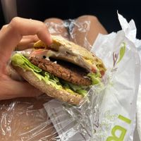   at BioHarmony in Belgrade