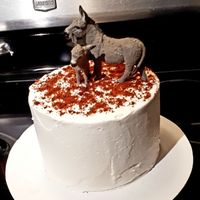 RED VELVET CAKE to die for 😍
The Kind Cafe surprised me with the decoration once I told them I was The Crazy Donkey Lady!

My non Vegan friends were so impressed and they couldn't believe it was Vegan 😁 at Kind Cafe in Vancouver