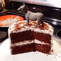 RED VELVET CAKE to die for 😍
The Kind Cafe surprised me with the decoration once I told them I was The Crazy Donkey Lady!

My non Vegan friends were so impressed and they couldn't believe it was Vegan 😁 at Kind Cafe in Vancouver