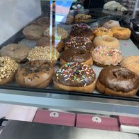 All vegan this shelf  at Missy's Cupcakes in Ventura