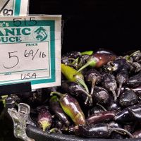  at Ocean Beach People's Organic Foods Co-op in San Diego