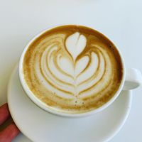 Oatmilk Flat White  at Project Coffee - Burns Court in Sarasota