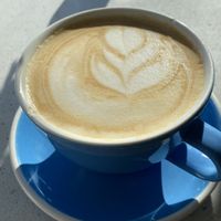 Pumpkin spice latte 🎃   at Project Coffee - Burns Court in Sarasota