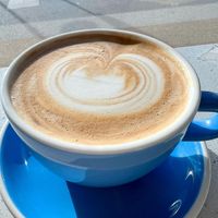   at Project Coffee - Burns Court in Sarasota