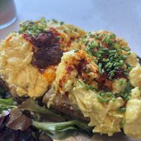   at Project Coffee - Burns Court in Sarasota