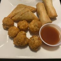 Vegan app platter! So good!!  at Marco Polo Global Restaurant in Salem