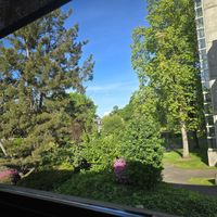View if park at Marco Polo Global Restaurant in Salem