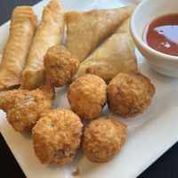 Vegan Appetizer Platter (spring rolls, samosas, fried mushrooms)  at Marco Polo Global Restaurant in Salem