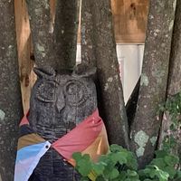 Outdoor patio at Lompac  at Lompoc Cafe in Bar Harbor