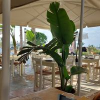 Outside sitting area. at Let's Vegan in Crete