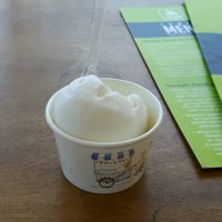 Lemon sorbe at Let's Vegan in Crete