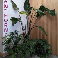 interior at Moberi - Hawthorne Blvd in Portland