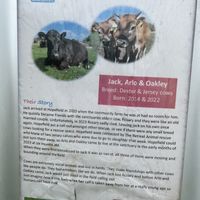 Jack’s story (board from one of the pens)  at Hopefield Animal Sanctuary - Max's Cafe in Brentwood