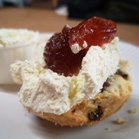 Yes, I put the on cream first 😋 at Hopefield Animal Sanctuary - Max's Cafe in Brentwood