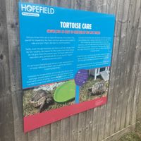   at Hopefield Animal Sanctuary - Max's Cafe in Brentwood