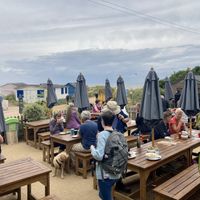   at Old Town Beach Cafe  in Hunstanton