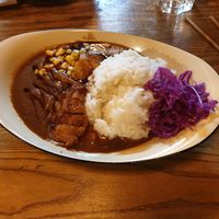 Katsu curry at Izakaya Midori in Reedy Creek