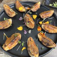 Eggplant with miso and yuzu dressingg  at Izakaya Midori in Reedy Creek