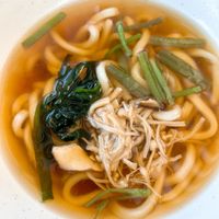 Japanese Udon   at Izakaya Midori in Reedy Creek
