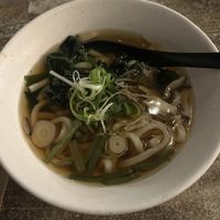 Udon noodle soup   at Izakaya Midori in Reedy Creek