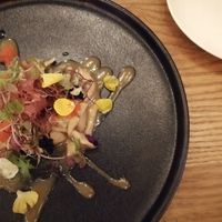 Kinoko Miso Ceviche at Izakaya Midori in Reedy Creek