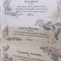 Menu but we missed lunch with 4 minutes (serves only until 14.59......) at Byvägen in Simrishamn