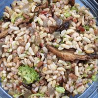 volcano rice at Organica Natural Foods in Northvale