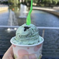 Mint with oat base and Oreos   at Creamistry in Irving