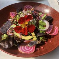 Purple Rain salad at Van Doorn en Doorn in Enschede