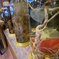 Love all the roots and things!  at Jeombongsan Sanchae in Sokcho