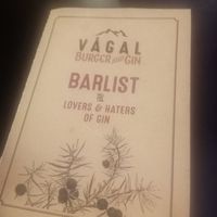  at Vagal Burger and Gin in Sogndal