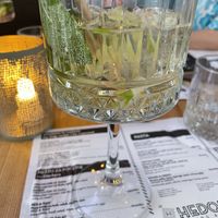   at Hedonist in Zadar