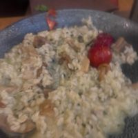 AVOID! VG risotto, asked multiple times if VG, they said yes…. It was Cheesy, creamy ? Then when paying they said cheese and cream may be in ?angry and disappointed  at Hedonist in Zadar