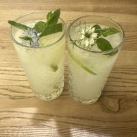 Virgin mojito lemonade  at Pierogarnia Mandu Centrum in Gdansk