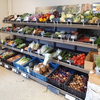 fresh vegs at Bio Drome Natuurvoeding in Goes