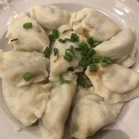 With cabbage and mushrooms at Pierogarnia Krakowiacy in Krakow