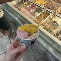 Strawberry and coconut cream, peanut butter and jelly, unsweetened espresso, and mango sorbet   at Paciugo Gelato & Caffe in St Petersburg