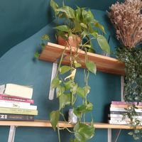 Décor at Kind Kitchen in Porto